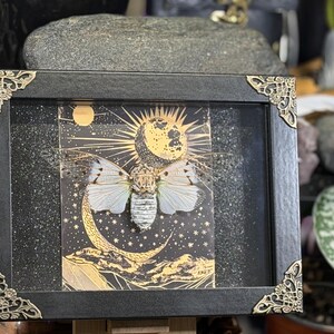 May include: Framed artwork depicting an insect with white wings and a striped body, set against a celestial background with a crescent moon, stars, and a sun. The black frame has ornate gold corner accents.