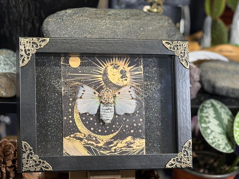 May include: Framed artwork depicting an insect with white wings and a striped body, set against a celestial background with a crescent moon, stars, and a sun. The black frame has ornate gold corner accents.