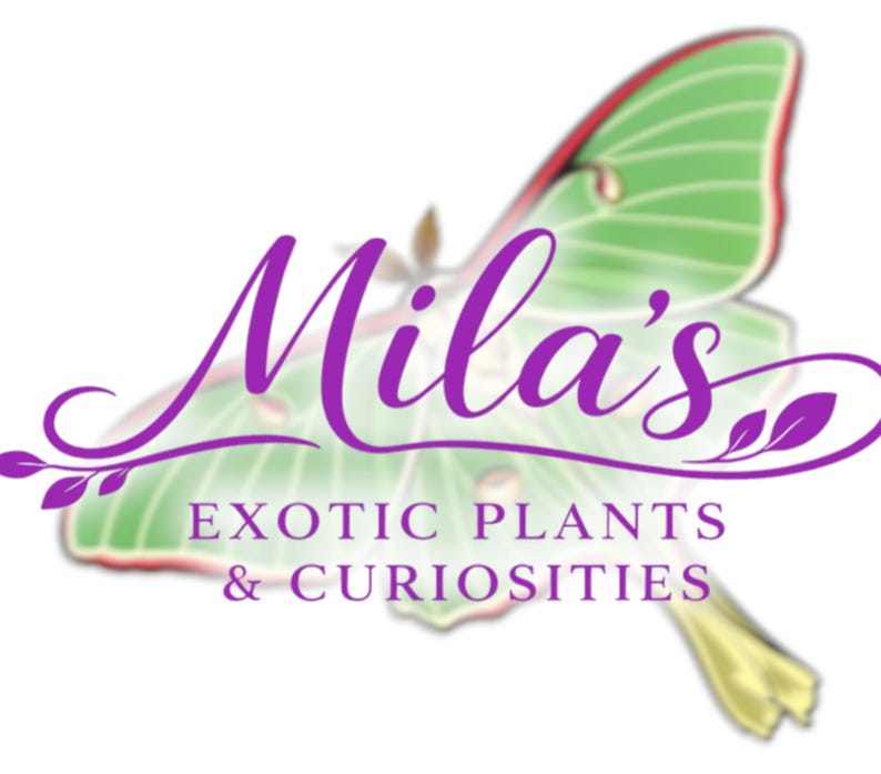 May include: A logo for "Mila's Exotic Plants & Curiosities" features a purple script font over a green and red butterfly illustration. The text is accompanied by decorative floral elements.
