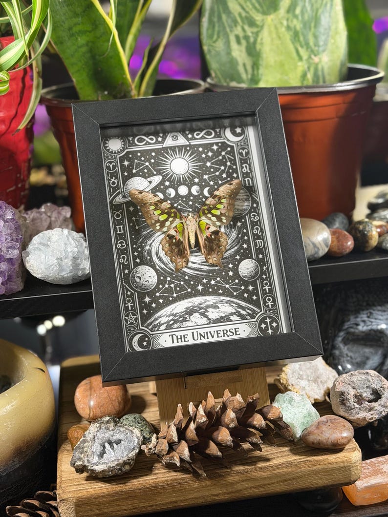 May include: A framed butterfly specimen with a black frame, displayed on a wooden stand. The artwork behind the butterfly features a black and white celestial design with the text "The Universe". The butterfly has brown and green markings.
