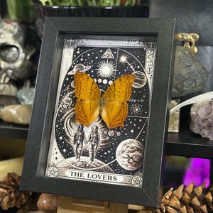 K&ouml;nnte beinhalten: Ein gerahmtes Kunstwerk mit einem konservierten orangefarbenen Schmetterling vor einem schwarz-wei&szlig;en Tarotkarten-Design. Die Karte zeigt zwei Figuren in Raumanz&uuml;gen und tr&auml;gt die Aufschrift "THE LOVERS". Der Rahmen ist schwarz.