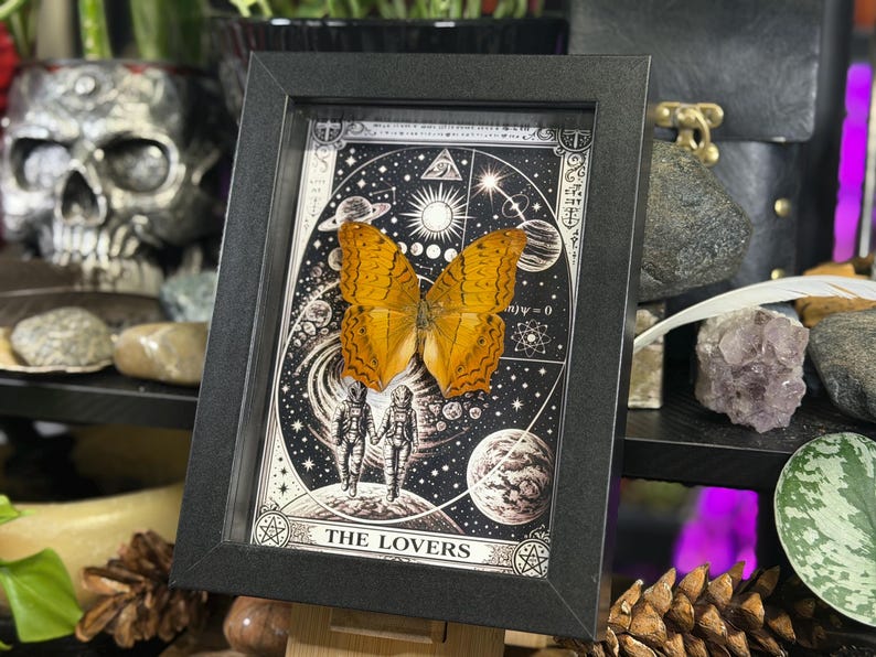 K&ouml;nnte beinhalten: Ein gerahmtes Kunstwerk mit einem konservierten orangefarbenen Schmetterling vor einem schwarz-wei&szlig;en Tarotkarten-Design. Die Karte zeigt zwei Figuren in Raumanz&uuml;gen und tr&auml;gt die Aufschrift "THE LOVERS". Der Rahmen ist schwarz.
