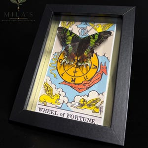 May include: A black rectangular frame containing a Wheel of Fortune tarot card with a green and black butterfly mounted on top. The card features yellow winged figures, a central wheel, and the text WHEEL of FORTUNE at the bottom.