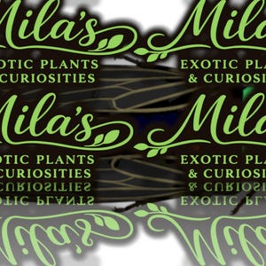 May include: The image features the text "Mila's Exotic Plants & Curiosities" in a stylized green font. The background includes a dark insect with detailed wings. The overall design suggests a nature-themed brand.