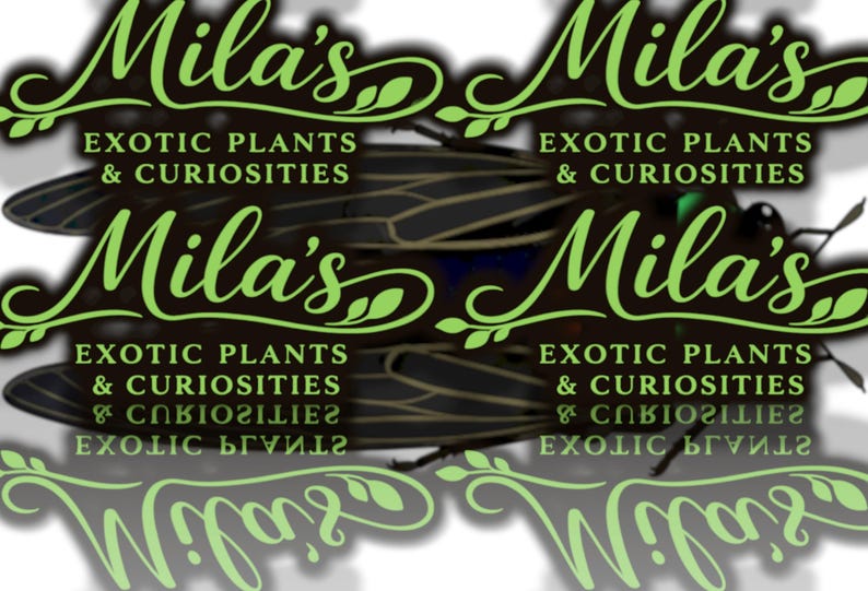 May include: The image features the text "Mila's Exotic Plants & Curiosities" in a stylized green font. The background includes a dark insect with detailed wings. The overall design suggests a nature-themed brand.