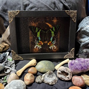 May include: A framed artwork featuring a butterfly with green, blue, and orange wings against a dark background. The black frame has ornate gold corner accents. Various crystals, stones, and bones surround the frame, creating a mystical aesthetic.