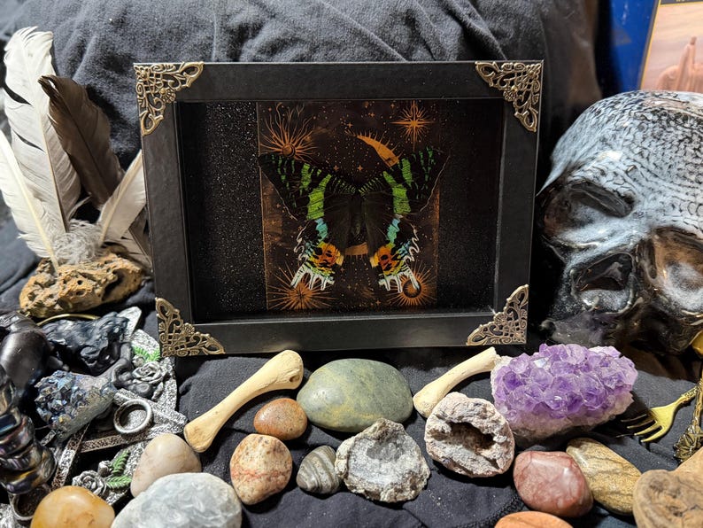 May include: A framed artwork featuring a butterfly with green, blue, and orange wings against a dark background. The black frame has ornate gold corner accents. Various crystals, stones, and bones surround the frame, creating a mystical aesthetic.
