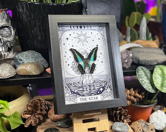 Framed Butterfly Blue Bottleneck ‘The Star’ Custom Tarot Gothic Wall Art - Graphium Sarpedon
