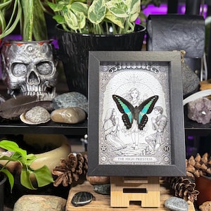 May include: A framed black and white illustration of "The High Priestess" tarot card, featuring a woman with a butterfly. The butterfly has black and turquoise wings. The frame is displayed on a wooden stand, surrounded by plants, rocks, and a skull.