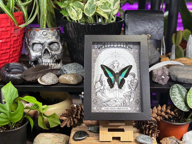 May include: A framed black and white illustration of "The High Priestess" tarot card, featuring a woman with a butterfly. The butterfly has black and turquoise wings. The frame is displayed on a wooden stand, surrounded by plants, rocks, and a skull.
