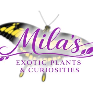 May include: The logo for "Mila's Exotic Plants & Curiosities" features a purple butterfly with yellow and black detailing. The business name is in purple script, with the tagline below in purple sans-serif font.