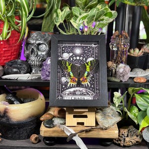 Madagascan Sunset Moth “Chaos” Dorsal Framed Specimen Art | Chrysiridia rhipheus Gothic Rainbow Decor image 3
