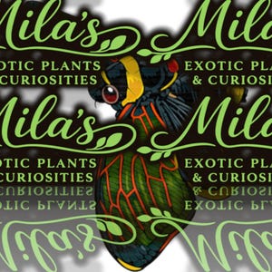 May include: A logo for "Mila's Exotic Plants & Curiosities" features a stylized bird illustration in green, yellow, black, and red. The text is in a decorative green font with a black background.
