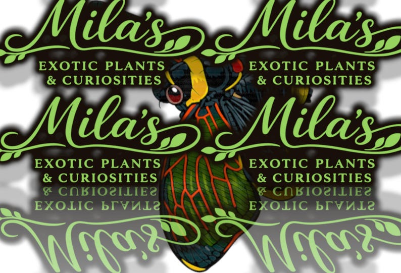 May include: A logo for "Mila's Exotic Plants & Curiosities" features a stylized bird illustration in green, yellow, black, and red. The text is in a decorative green font with a black background.