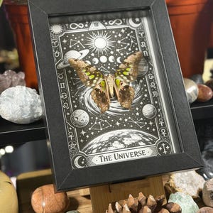 May include: A framed artwork featuring a butterfly specimen set against a black and white celestial illustration. The artwork is in a black frame and includes the text "THE UNIVERSE". The butterfly has brown and green wings.