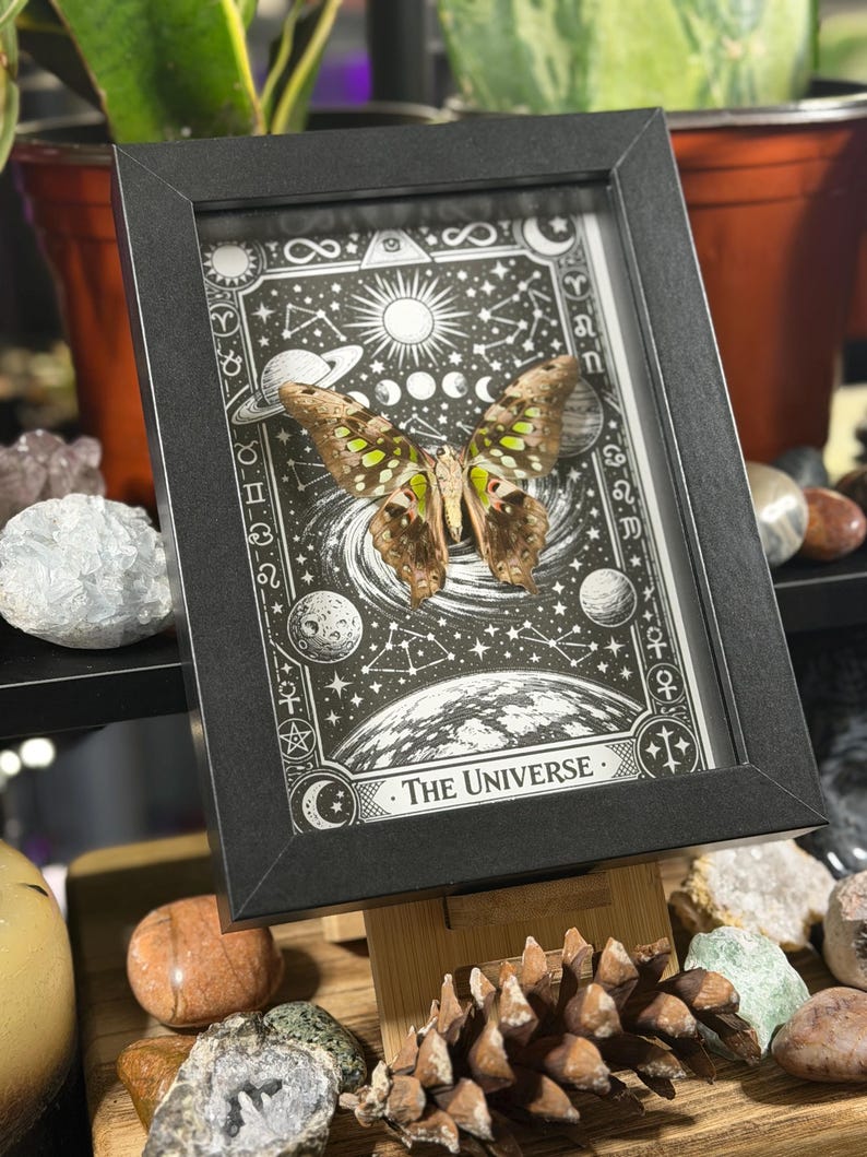 May include: A framed artwork featuring a butterfly specimen set against a black and white celestial illustration. The artwork is in a black frame and includes the text "THE UNIVERSE". The butterfly has brown and green wings.