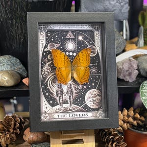 K&ouml;nnte beinhalten: Gerahmter Druck mit einem Schmetterling mit orangefarbenen und braunen Fl&uuml;geln, vor einem schwarz-wei&szlig;en kosmischen Tarotkarten-Design. Die Karte zeigt zwei Figuren und den Text "THE LOVERS".