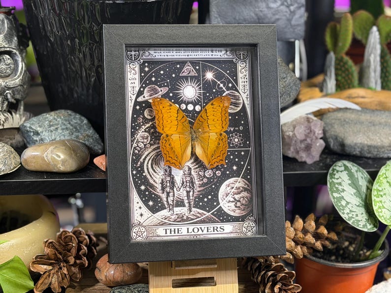K&ouml;nnte beinhalten: Gerahmter Druck mit einem Schmetterling mit orangefarbenen und braunen Fl&uuml;geln, vor einem schwarz-wei&szlig;en kosmischen Tarotkarten-Design. Die Karte zeigt zwei Figuren und den Text "THE LOVERS".