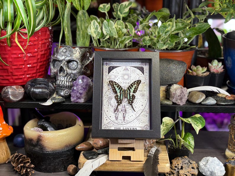 Puede incluir: Una obra de arte enmarcada con una mariposa de alas verdes y negras, sobre un dise&ntilde;o circular detallado. El marco es negro y la obra se exhibe sobre un soporte de madera. Las palabras "THE LOVERS" son visibles.