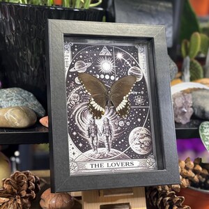 Puede incluir: Una obra de arte enmarcada con una mariposa preservada con alas de color marr&oacute;n oscuro y marcas blancas. La obra de arte est&aacute; ambientada sobre una ilustraci&oacute;n en blanco y negro de cuerpos celestes y figuras, con el texto "THE LOVERS" en la parte inferior. El marco es negro.