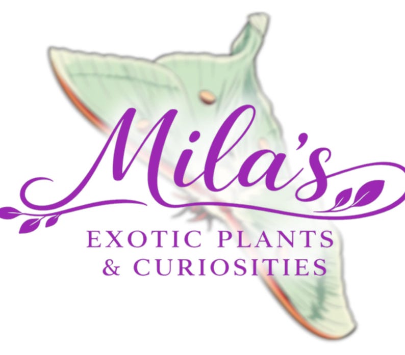 May include: A logo for "Mila's Exotic Plants & Curiosities" features a stylized green moth with purple text. The text includes the name "Mila's" in cursive and the business description below.