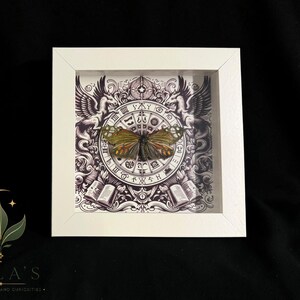 May include: A square white shadow box frame containing a preserved butterfly with green and orange wings. The background features a detailed black and white illustration of a circular zodiac-style chart, two winged creatures, and open books.