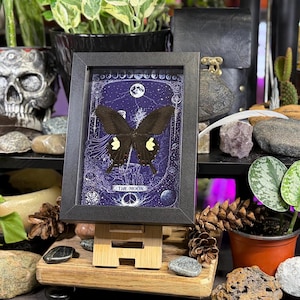 May include: A framed artwork featuring a black butterfly with yellow markings, set against a dark blue background with celestial illustrations. The frame is black, and the artwork is displayed on a wooden stand. The text "THE MOON" is visible.