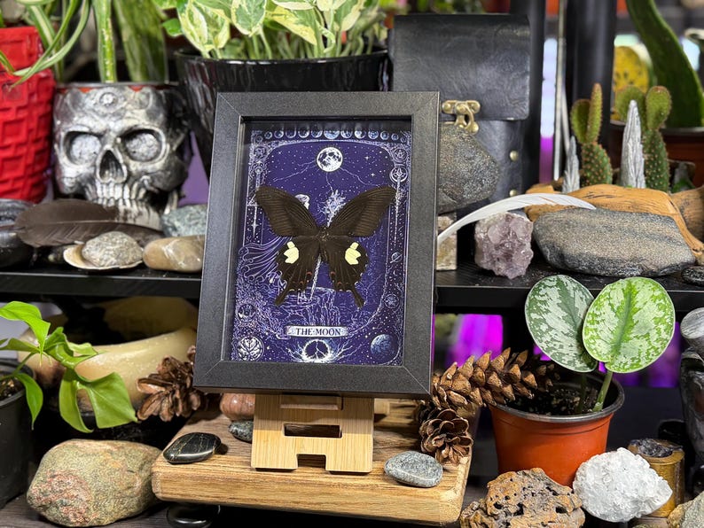 May include: A framed artwork featuring a black butterfly with yellow markings, set against a dark blue background with celestial illustrations. The frame is black, and the artwork is displayed on a wooden stand. The text "THE MOON" is visible.