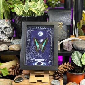 Puede incluir: Una impresi&oacute;n enmarcada que presenta una mariposa con alas turquesas y negras, sobre un fondo azul oscuro con elementos celestiales. La impresi&oacute;n est&aacute; etiquetada como "THE MOON" y se muestra en un caballete de madera. El marco es negro.