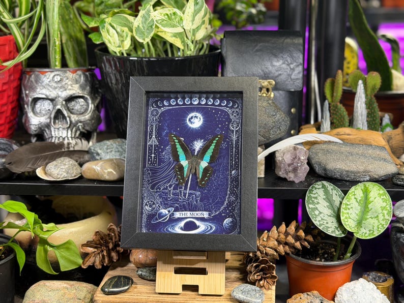 Puede incluir: Una impresi&oacute;n enmarcada que presenta una mariposa con alas turquesas y negras, sobre un fondo azul oscuro con elementos celestiales. La impresi&oacute;n est&aacute; etiquetada como "THE MOON" y se muestra en un caballete de madera. El marco es negro.