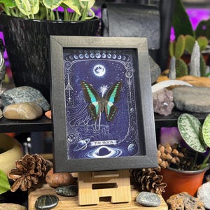 Puede incluir: Una obra de arte enmarcada que presenta una mariposa con alas turquesas y negras sobre un fondo azul oscuro. La obra incluye elementos celestiales como la luna y los planetas, con el texto "THE MOON" en la parte inferior. El marco es negro.