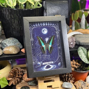 Puede incluir: Una obra de arte enmarcada con una mariposa de alas turquesas y negras, sobre un fondo azul oscuro con ilustraciones celestiales. El marco es negro y la obra est&aacute; apoyada en un soporte de madera. El texto "THE MOON" es visible.