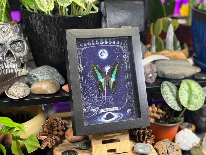 Puede incluir: Una obra de arte enmarcada con una mariposa de alas turquesas y negras, sobre un fondo azul oscuro con ilustraciones celestiales. El marco es negro y la obra est&aacute; apoyada en un soporte de madera. El texto "THE MOON" es visible.