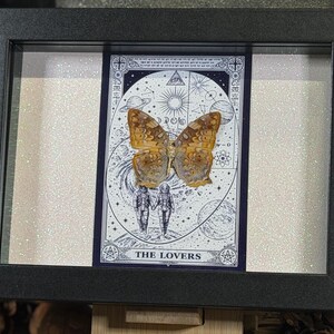 Pode incluir: Uma obra de arte emoldurada com um esp&eacute;cime de borboleta montado sobre uma carta de tar&ocirc;. A carta retrata duas figuras e imagens celestes, com as palavras "THE LOVERS" na parte inferior. A moldura &eacute; preta e o fundo &eacute; branco brilhante.