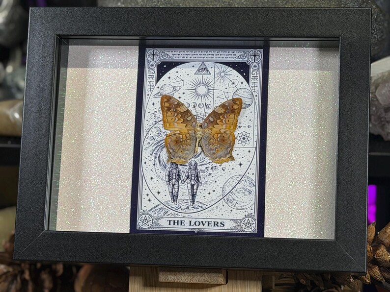 Pode incluir: Uma obra de arte emoldurada com um esp&eacute;cime de borboleta montado sobre uma carta de tar&ocirc;. A carta retrata duas figuras e imagens celestes, com as palavras "THE LOVERS" na parte inferior. A moldura &eacute; preta e o fundo &eacute; branco brilhante.