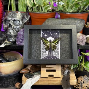 May include: A framed artwork featuring a butterfly with yellow and black wings. The artwork is set against a starry night sky with a black frame. The artwork is displayed on a wooden stand, surrounded by plants and decorative items.