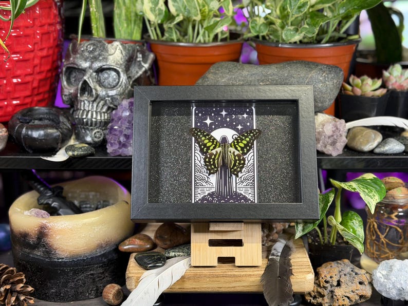 May include: A framed artwork featuring a butterfly with yellow and black wings. The artwork is set against a starry night sky with a black frame. The artwork is displayed on a wooden stand, surrounded by plants and decorative items.