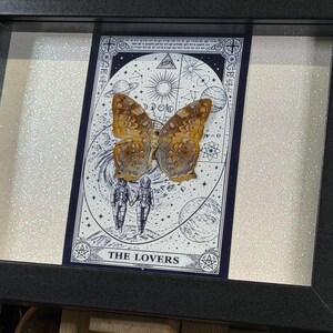 Pode incluir: Obra de arte emoldurada com um esp&eacute;cime de borboleta montado em uma carta de tar&ocirc;. A carta, rotulada como "THE LOVERS", tem um design celestial com ilustra&ccedil;&otilde;es de planetas, estrelas e figuras. A borboleta tem asas marrons e amarelas. A moldura &eacute; preta.