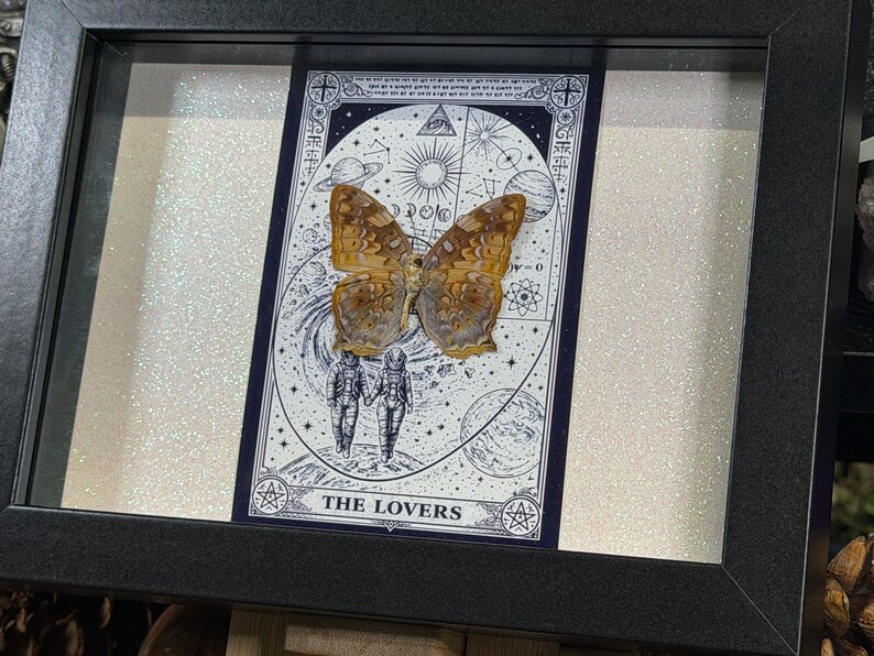 Pode incluir: Obra de arte emoldurada com um esp&eacute;cime de borboleta montado em uma carta de tar&ocirc;. A carta, rotulada como "THE LOVERS", tem um design celestial com ilustra&ccedil;&otilde;es de planetas, estrelas e figuras. A borboleta tem asas marrons e amarelas. A moldura &eacute; preta.