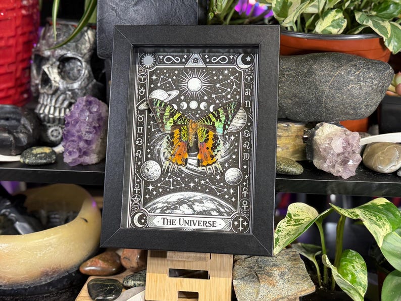 May include: Black framed art print featuring a butterfly with orange and green wings, set against a celestial background with planets, stars, and the text "The Universe". The artwork is in black and white with intricate details.