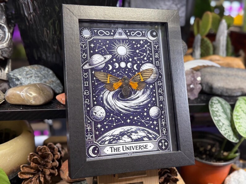 K&ouml;nnte beinhalten: Gerahmtes Kunstwerk mit einem kosmischen Design und einer Illustration einer Motte. Der schwarze Rahmen umgibt einen dunkelblauen Hintergrund mit Planeten, Monden und Sternen. Der Text "The Universe" befindet sich unten.