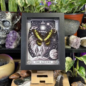 Puede incluir: Una obra de arte enmarcada que presenta una mariposa con alas amarillas y negras, sobre un fondo celestial con planetas, estrellas y el texto "THE LOVERS". La obra est&aacute; en un marco negro, exhibida sobre un soporte de madera, rodeada de plantas y objetos decorativos.
