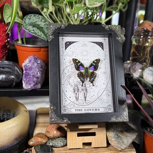 K&ouml;nnte beinhalten: Ein gerahmter Druck mit einem Schmetterling mit blauen, lila und gr&uuml;nen Fl&uuml;geln. Das Kunstwerk hat einen Schwarz-Wei&szlig;-Hintergrund mit den Worten "THE LOVERS" unten. Der schwarze Rahmen hat verzierte silberne Eckakzente. Der Druck steht auf einer kleinen Holzstaffelei.