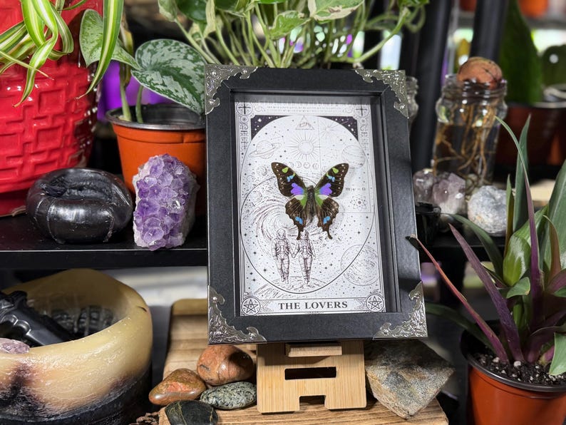 K&ouml;nnte beinhalten: Ein gerahmter Druck mit einem Schmetterling mit blauen, lila und gr&uuml;nen Fl&uuml;geln. Das Kunstwerk hat einen Schwarz-Wei&szlig;-Hintergrund mit den Worten "THE LOVERS" unten. Der schwarze Rahmen hat verzierte silberne Eckakzente. Der Druck steht auf einer kleinen Holzstaffelei.