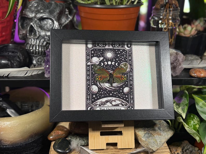 May include: A framed artwork depicting a butterfly with orange, green, and brown wings, set against a black and white celestial background. The artwork is labelled "The Universe" and is in a black frame.