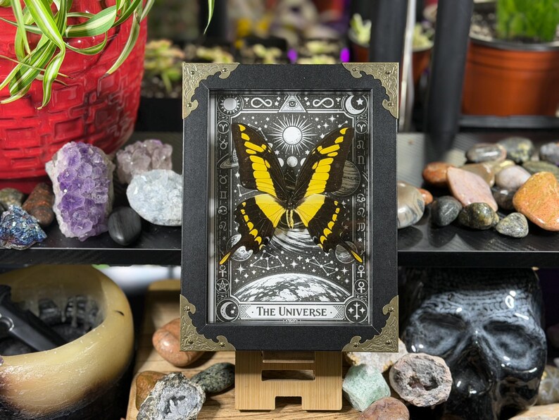 Peut inclure: Une &oelig;uvre encadr&eacute;e repr&eacute;sentant un papillon jaune et noir sur un fond c&eacute;leste. Le cadre noir a des coins dor&eacute;s. L'&oelig;uvre est intitul&eacute;e "THE UNIVERSE" en bas.