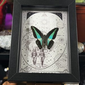 Puede incluir: Obra de arte enmarcada con una mariposa de alas negras y turquesas, sobre una ilustraci&oacute;n c&oacute;smica en blanco y negro. La obra incluye dos figuras de astronautas tomados de la mano, con las palabras "THE LOVERS" en la parte inferior.