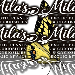 Kunglig gul svalstjärt PNG-paket 1 av 2 | 22 Papilio thoas 300 DPI fjärils clipartfiler bild 20