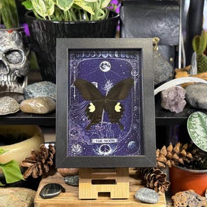 May include: A framed artwork featuring a black butterfly with yellow markings, set against a dark blue background with celestial and mystical symbols. The frame is black, and the artwork is displayed on a wooden easel.