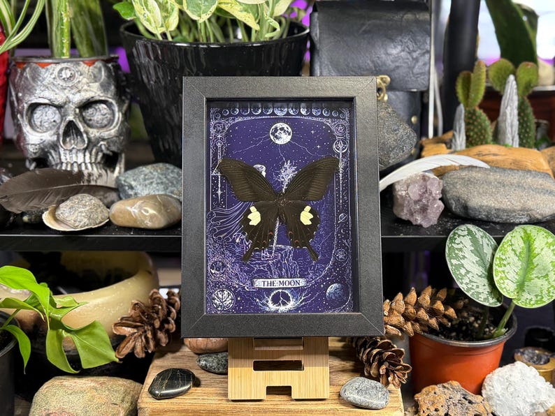 May include: A framed artwork featuring a black butterfly with yellow markings, set against a dark blue background with celestial and mystical symbols. The frame is black, and the artwork is displayed on a wooden easel.